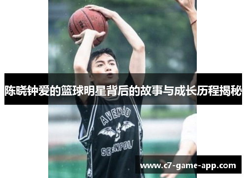 陈晓钟爱的篮球明星背后的故事与成长历程揭秘